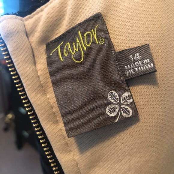 Amazing Black and Nude Dress- So Unique!! NWT - Picture 8 of 10